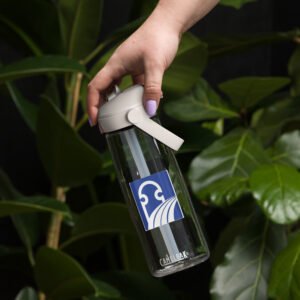 Flip straw water bottle
